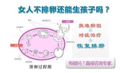 温馨提示:尽管b超监测卵子是目前最准确的方法